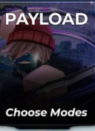 Payload